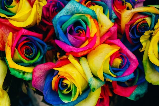 4 steps HR leaders should take to promote gender equality