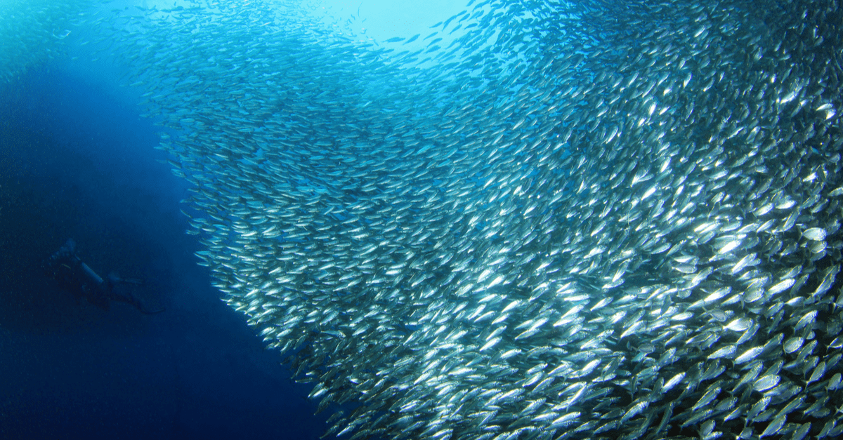 How to maximize workforce performance by unlocking agility