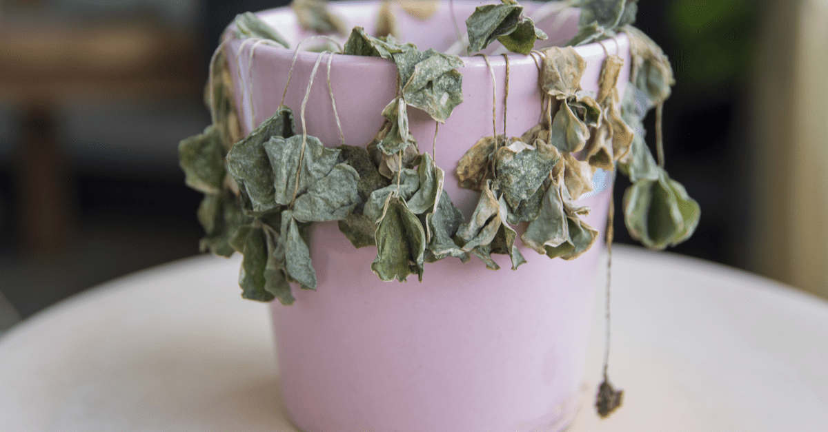 How to reduce employee burnout with a talent marketplace