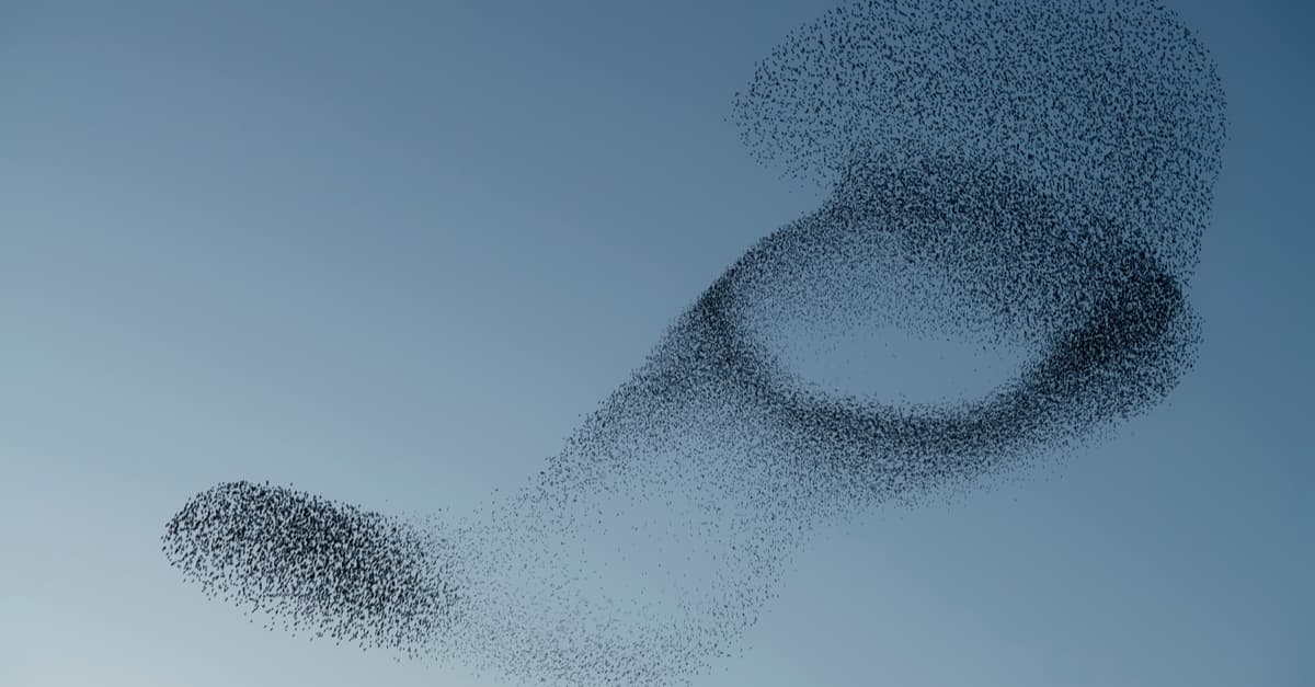 How to become an agile workforce: 3 Key steps