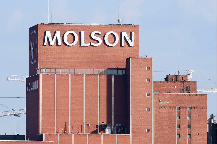 shutterstock 1113381875 1 1